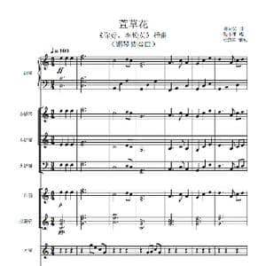 萱草花_歌谱投稿_词曲: 杜澍霖