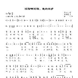 沈阳啊沈阳,我的故乡_歌曲简谱_词曲:李长春 金永道