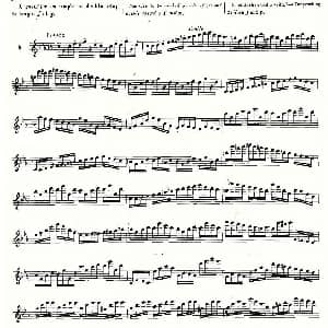 长笛曲谱 | 基于维尼亚夫斯基练习曲的10首长笛练习曲之9 Moyse 10 Studies After Wieniawski 莫伊斯Moyse