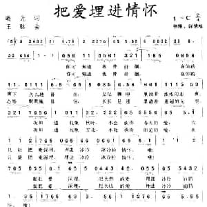 把爱埋进情怀_通俗唱法乐谱_词曲:晓光 王酩