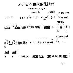 秦腔 未开言不由我泪流满面 柳林告状 杨素贞唱段 苏蕊娥