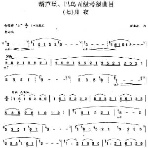 巴乌五级考级曲目 月夜 龚启森