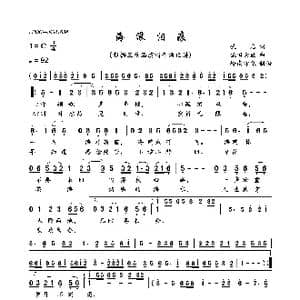 海浪泪痕_歌曲简谱_词曲:佚名 饭田景应