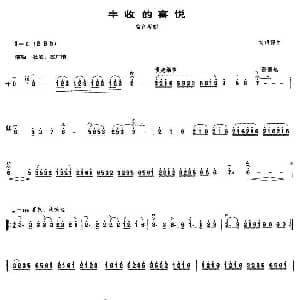 丰收的喜悦 高音板胡 刘明源