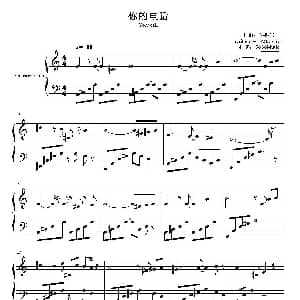 心灵钢琴曲 你的电话 钢琴谱 吴振兴