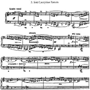 李斯特 旅游岁月 第三集 S.163 No.5 悲歌 钢琴谱 李斯特