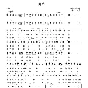 野草_通俗唱法乐谱_词曲:种子浪人 江南雨