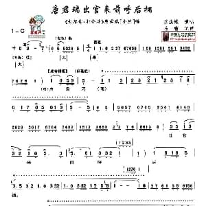 秦腔 唐君瑞出宫来前呼后拥 大拜寿 打金枝 唐君瑞唱段 苏蕊娥