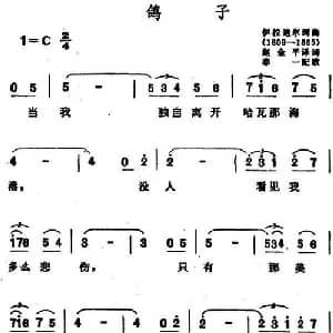 鸽子 墨西哥 _外国歌谱_词曲:伊拉迪尔作词 赵金平译词 伊拉迪尔作词 非一配歌