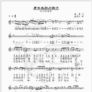 穿军装的川妹子_歌谱投稿_词曲:韩伟 孟庆云