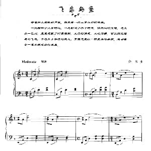 飞鸟与鱼 钢琴谱 齐秦