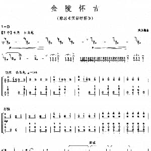 古筝谱 | 金陵怀古 原名 天京抒怀 涂永梅