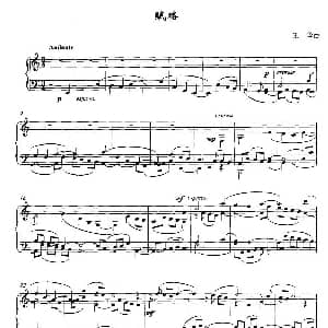 赋格 钢琴谱 王华