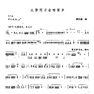 笛子谱 | 大寨花开咱家乡 胡结续