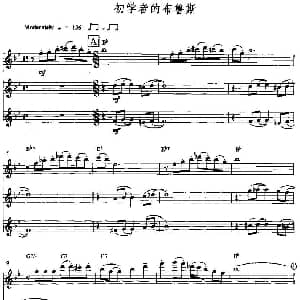 长笛曲谱 | 初学者的布鲁斯 三重奏