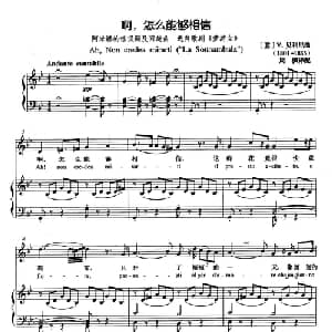 啊,怎么能够相信 意大利 _外国歌谱_词曲: 意 V.贝里尼