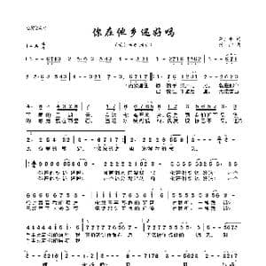 你在他乡还好吗_歌曲简谱_词曲:李广平 杨虹