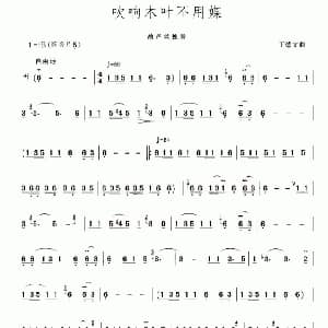 葫芦丝谱 | 吹响木叶不用媒 王德文