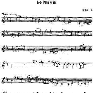 小提琴谱 | b小调协奏曲 里丁格