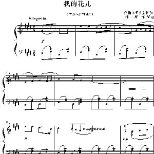 我的花儿 钢琴谱