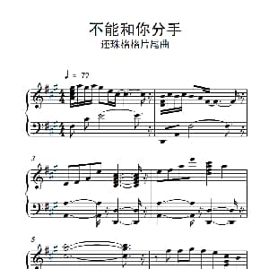 不能和你分手 钢琴谱
