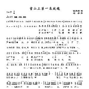 雪山上第一朵玫瑰花_歌谱投稿_词曲:任善炯 刘 莎