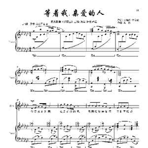 等着我,亲爱的人 _歌曲简谱_词曲:王晓岭 李文绪 栾凯