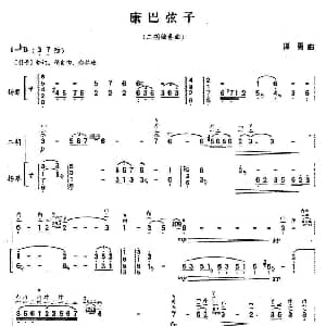 二胡谱 | 康巴弦子 扬琴伴奏谱 谭勇