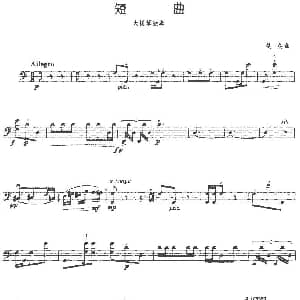 短曲 大提琴 铁英