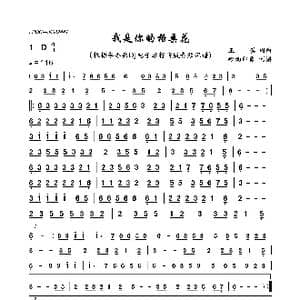 我是你的格桑花_歌曲简谱_词曲: 王琪