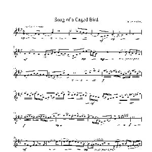 小提琴谱 | Song of a Caged Bird Lindsey Stirling