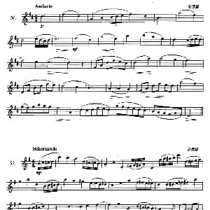 萨克斯谱 | 萨克斯练习曲合集 2—56.57.58.59. 安德森