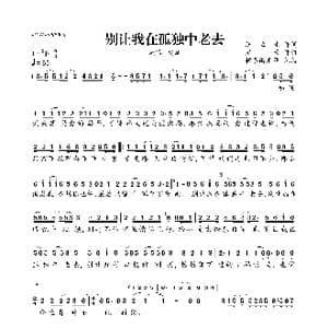 别让我在孤独中老去_歌曲简谱