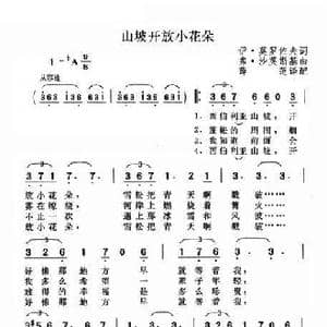 山坡开放小花朵_歌谱投稿