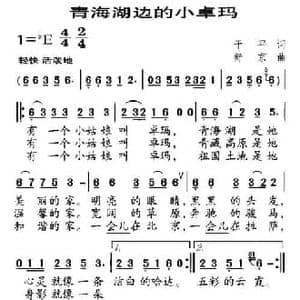 青海湖边的小卓玛_民歌简谱_词曲:于平 舒京