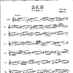 金孔雀_歌曲简谱_词曲: 杨会林