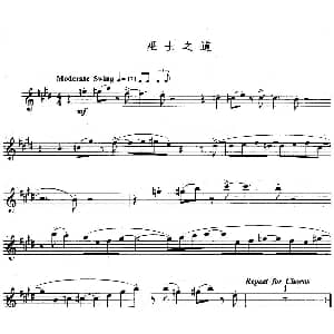 长笛曲谱 | 巫士之道