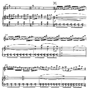 笛子谱 | 飞歌 笛子协奏曲 钢琴伴奏 P21—3