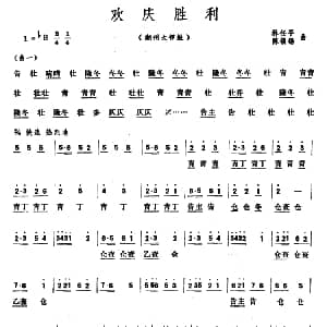 欢庆胜利 潮州大锣鼓 林任平 陈镇锡