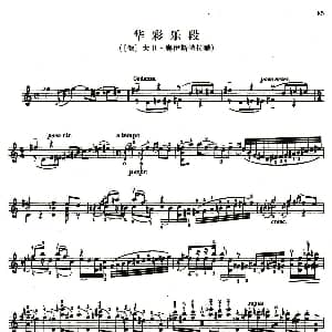 小提琴谱 | D小调小提琴协奏曲华彩乐段