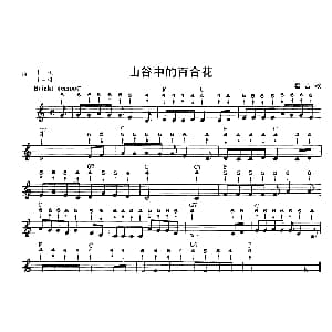 口琴谱 | 山谷中的百合花 布鲁斯