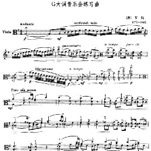G大调音乐会练习曲 中提琴 意 罗拉