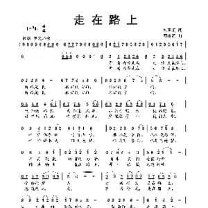 走在路上_歌曲简谱_词曲:杨玉鹏 蔡体润