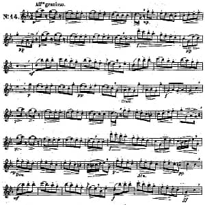 长笛曲谱 | 二十首练习曲作品131号 NO.14 Garibold 加里波第