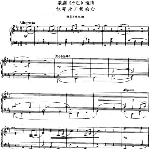 她夺走了我的心_美声唱法乐谱_词曲:王泉 韩伟 施光南