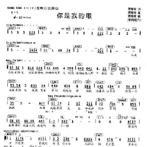 你是我的眼_通俗唱法乐谱_词曲:萧煌奇 萧煌奇