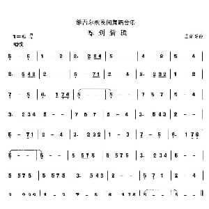 春到新 维吾尔族舞蹈 中国民族民间舞曲选 王育英