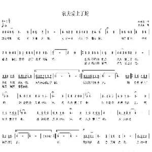 农夫爱上了蛇_歌曲简谱_词曲:林雄威 韦龙东
