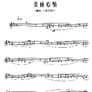 长笛曲谱 | 美丽心情