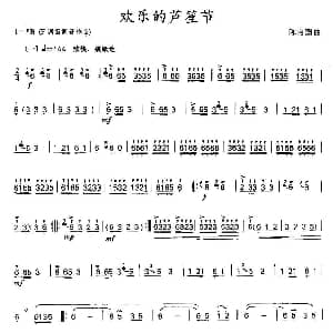 欢乐的芦笙节 陈启国